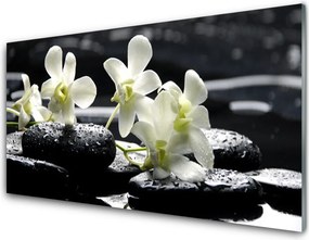 Panel nad blat kuchenny Storczyk Na Gładkich Kamieniach