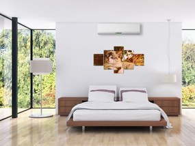 Obraz kota w doniczce (125x70 cm)