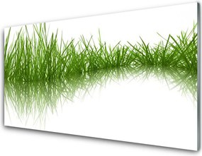 Panel Szklany Naturalna Gęstwina Trawy