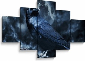 Obraz - Gawron (125x70 cm)