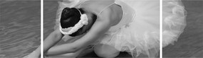Obraz - Balerina, czarno-biały (170x50 cm)