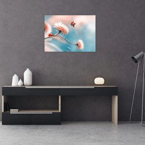 Obraz na szkle - Biedronka na kwiatku (70x50 cm)