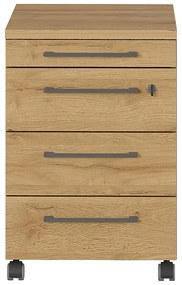 Szafka w dekorze dębu 42x61 cm Agenda – Germania
