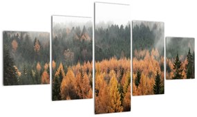 Obraz - Jesienny las (125x70 cm)