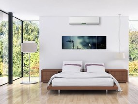Obraz - Ważka w błyszczącej nocy (170x50 cm)