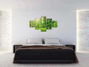 Obraz - Wiosenny las liściasty (125x70 cm)