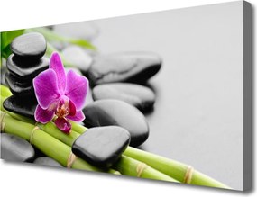 Obraz canvas na ścianę Egzotyczny Duet: Bambus i Lotos