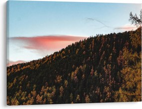 Obraz rudzików nad wzgórzem (70x50 cm)