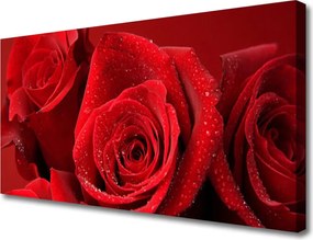 Obraz na płótnie Aksamitne Płatki Róż