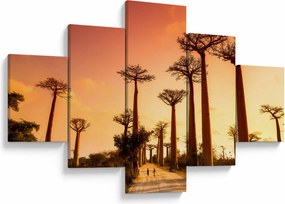 Obraz - Zachód słońca w Baobab Alley (125x70 cm)