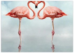 Obraz dwóch flamingów (70x50 cm)