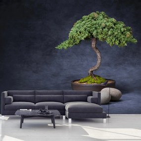 Fototapeta - Bonsai (196x136 cm)