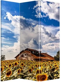 Parawan - Pole słoneczników (126x170 cm)