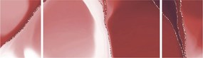 Obraz - Czerwony abstrakcyjny kwiat N⁰3 (170x50 cm)