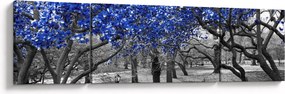 Obraz - Niebieskie drzewa, Central Park, New York (170x50 cm)