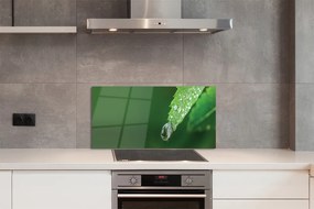 Szklany Panel Poranny Detal na Liściu