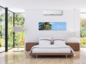 Obraz palmy na plaży (170x50 cm)
