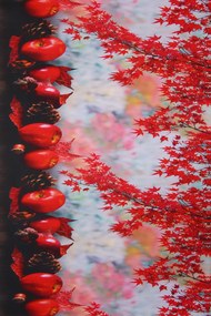 Dywan Chodnik Winylowy Moma Czerwone Jabłka 052x100 Chodnik