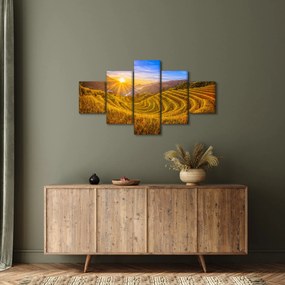 Obraz - Pole ryżowe w Wietnamie (125x70 cm)