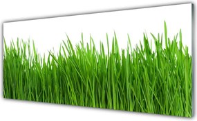 Szkło do Kuchni na Ścianę Naturalny Dywan Zieleni