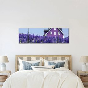Obraz lawendowego pola (170x50 cm)