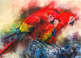 Obraz czerwonych papug Ara (70x50 cm)