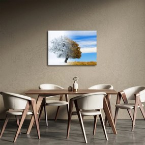 Obraz - Zmiana pór roku (70x50 cm)