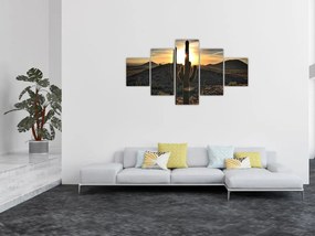 Obraz - kaktusy w słońcu (125x70 cm)