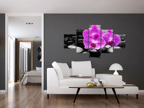 Obraz - Fioletowe orchidee (125x70 cm)
