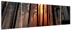 Obraz ciemnego lasu (170x50 cm)