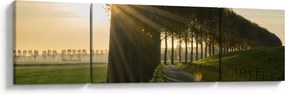 Obraz alei (170x50 cm)