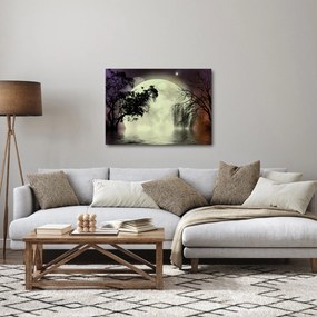 Obraz - Księżyc w pełni nad powierzchnią (70x50 cm)
