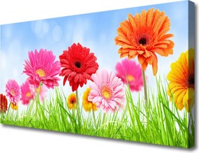 Obraz na płótnie Kwiaty wśród Polnej Trawy