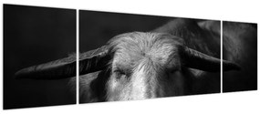 Obraz - Krowa (170x50 cm)