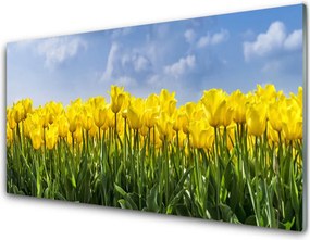 Panel Szklany Tęczowe Pole Tulipanów