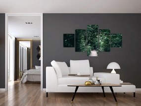 Obraz - Ścieżka przez las (125x70 cm)
