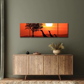 Obraz żyraf o zachodzie słońca (170x50 cm)