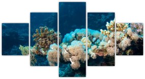 Obraz - W oceanie (125x70 cm)