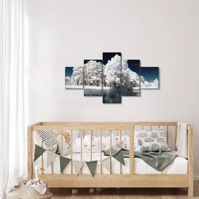 Obraz - Śnieżnobiałe drzewa (125x70 cm)
