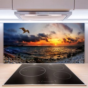 Panel Kuchenny Mewa Nad Brzegiem Oceanu