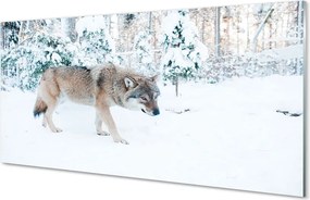 Panel Szklany Zimowy Portret Wilka