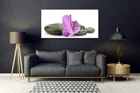 Obraz Szklany Kwiat Orchidea Storczyk
