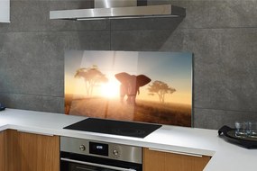 Panel szklany do Kuchni Słoń o Wschodzie Słońca na Sawannie