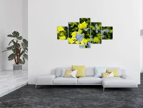 Obraz - liście klonu (125x70 cm)