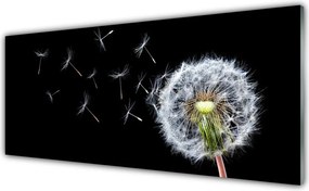 Panel Szklany do Kuchni Polny Urok Dmuchawców