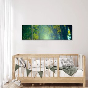 Obraz drogi wysadzanej drzewami (170x50 cm)
