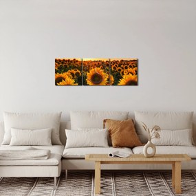 Obraz - Słonecznik (z zegarem) (90x30 cm)