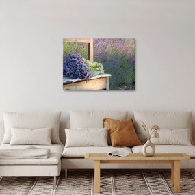 Obraz - Pęczki lawendy (70x50 cm)