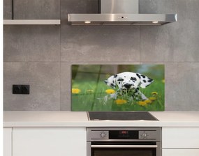 Szklany Panel Łąka pies