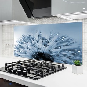 Panel Szklany do Kuchni Dmuchawiec w Porannej Rosie